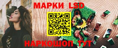 твердый Будённовск