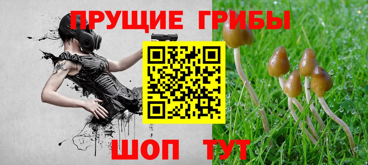Галлюциногенные грибы MAGIC MUSHROOMS Кондопога