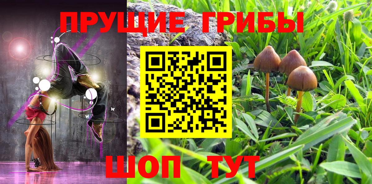 Кондопога  цены наркотик  Псилоцибиновые грибы Magic Shrooms  Вход с VPN  Галлюциногенные грибы Magic Shrooms 