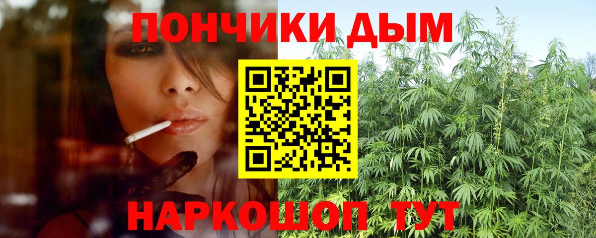 Бошки Шишки AK-47 Кондопога